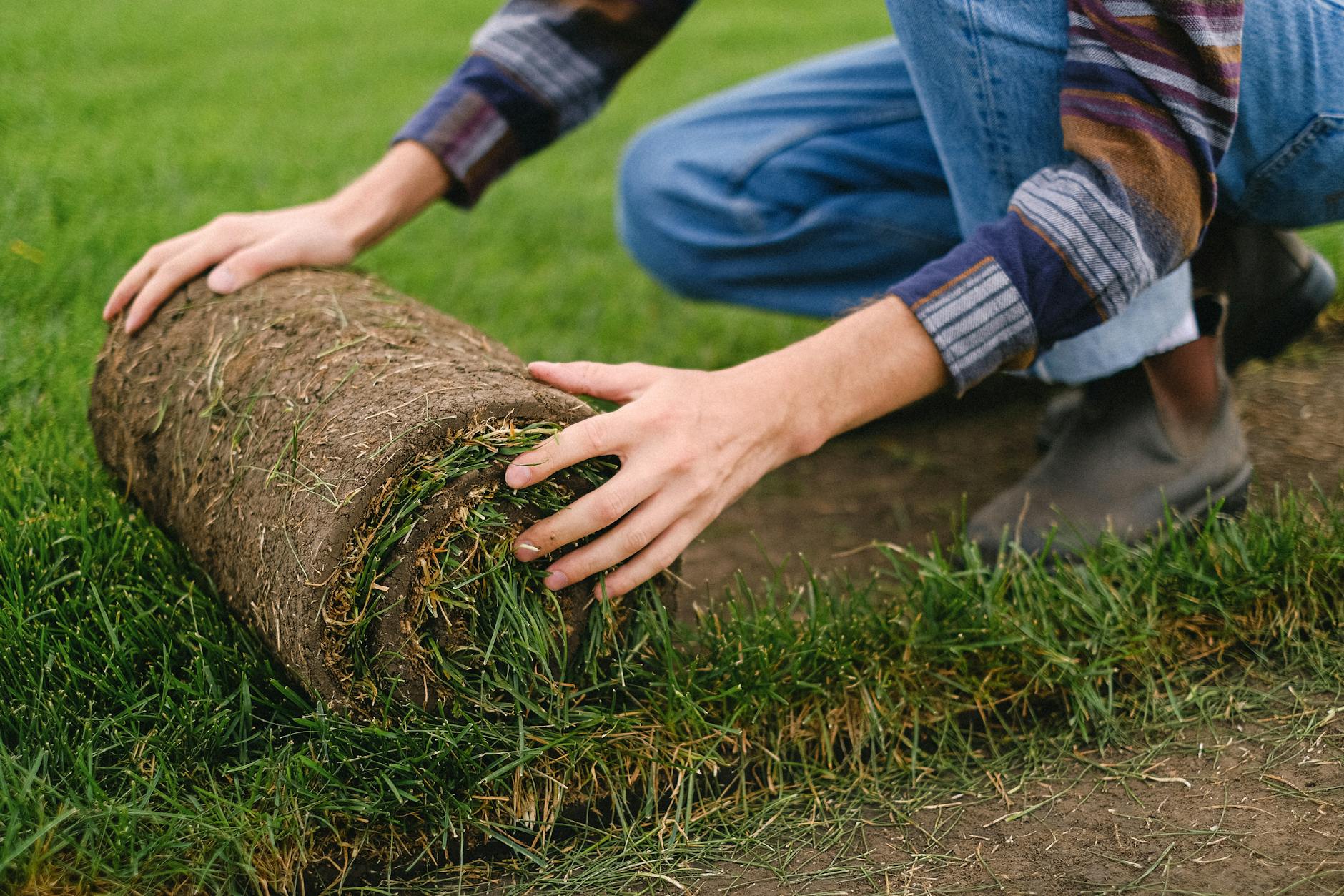 landscaping professional