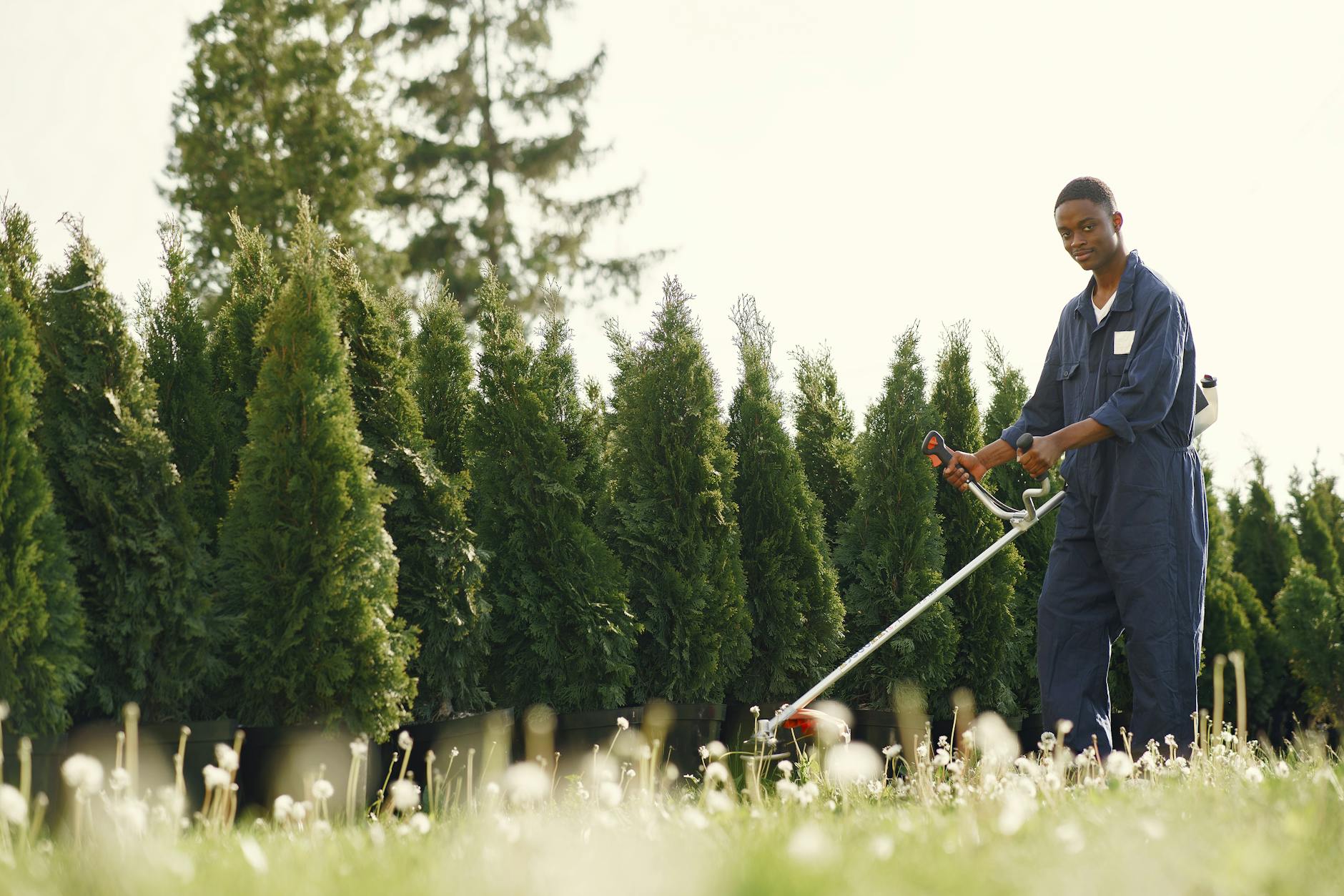 landscaping professional
