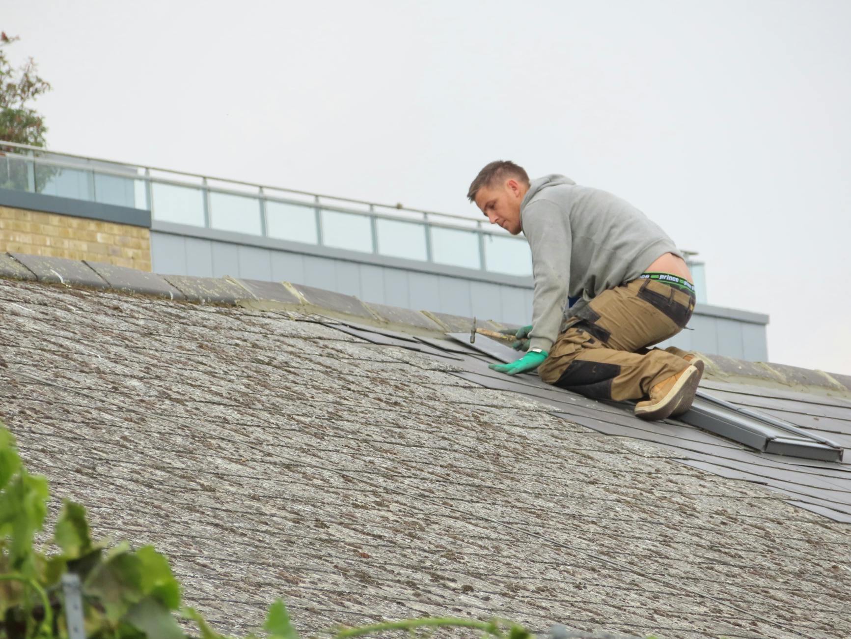 roofing professional