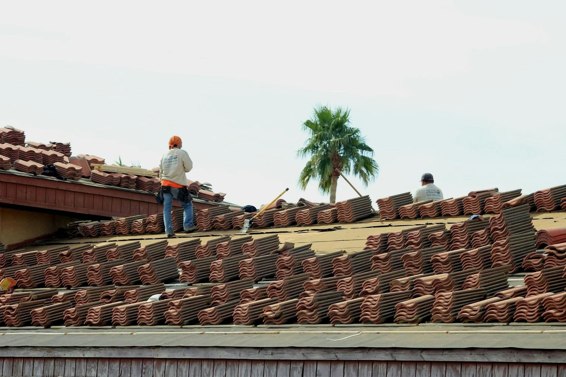 roofing professional